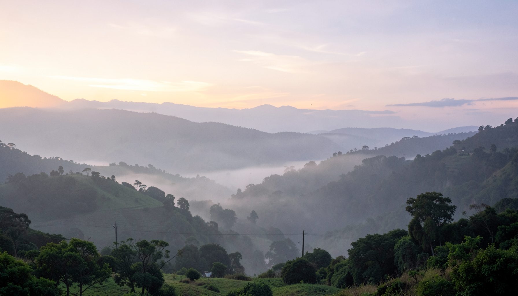 A misty morning over layered green hills at dawn, with soft peach and lavender tones in the sky, evoking the quiet start of a birding day