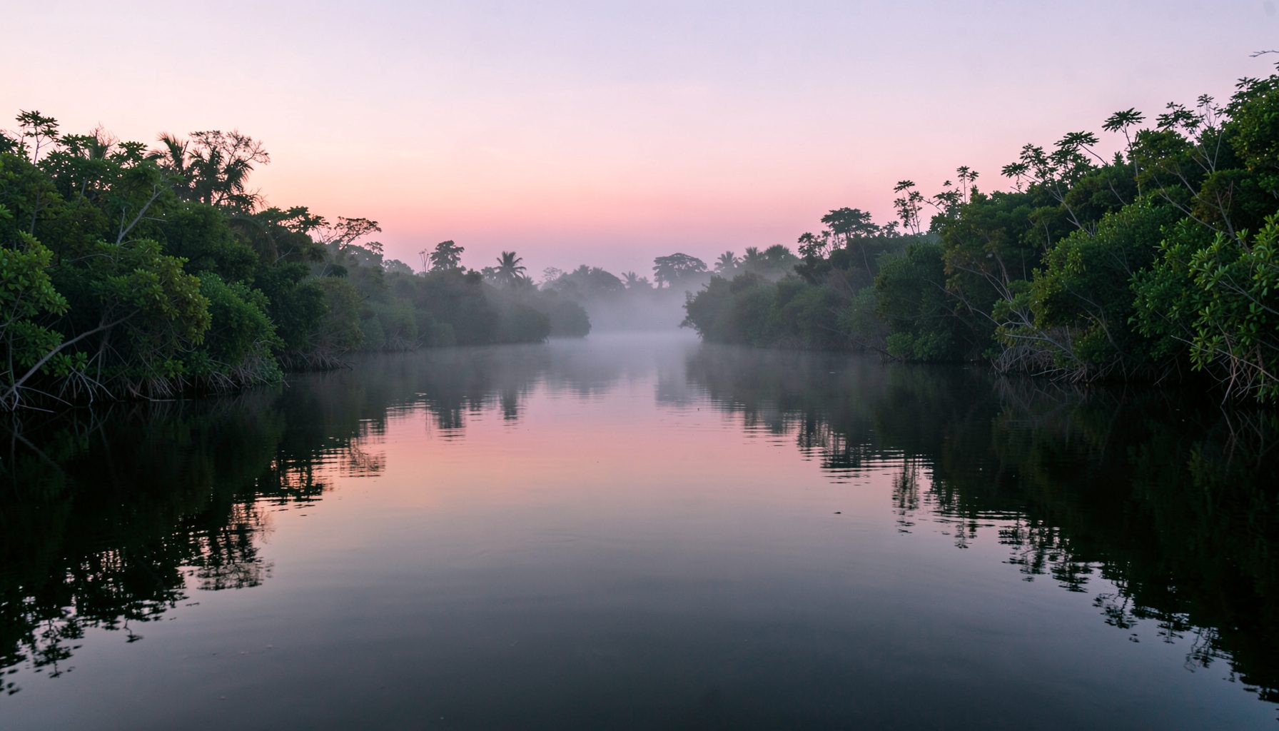 Misty mangrove waterway in southern Thailand at dawn, calm dark water reflecting soft pink and green tones, serene and untouched